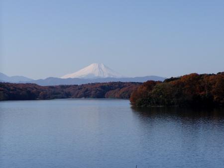 紅葉と富士山