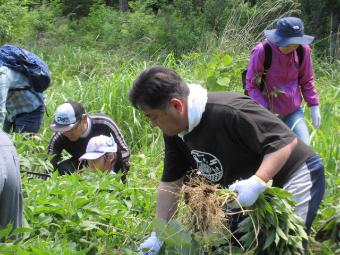 草刈りをする市長の写真